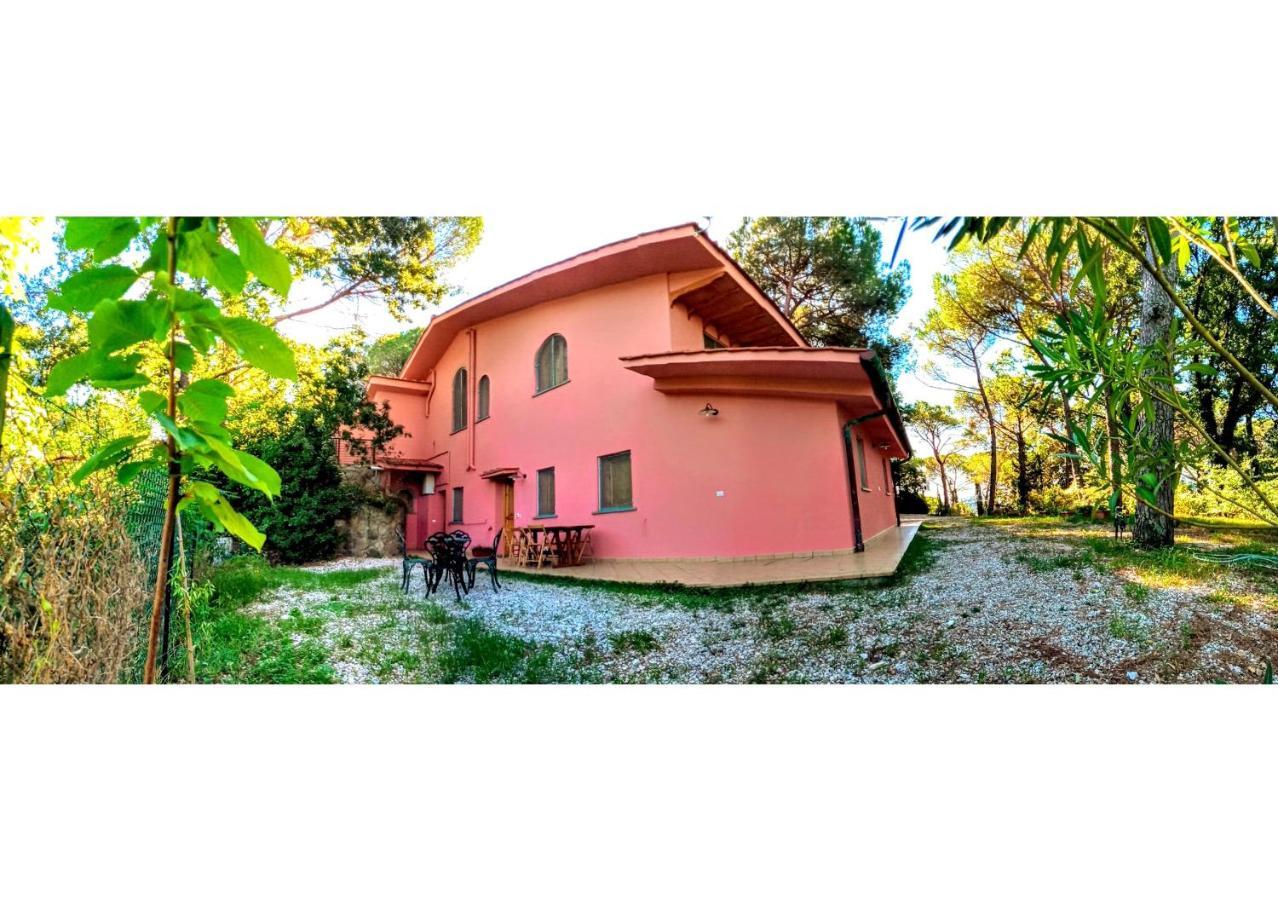 Agriturismo Poggio Al Pino Montelupo Fiorentino Luaran gambar