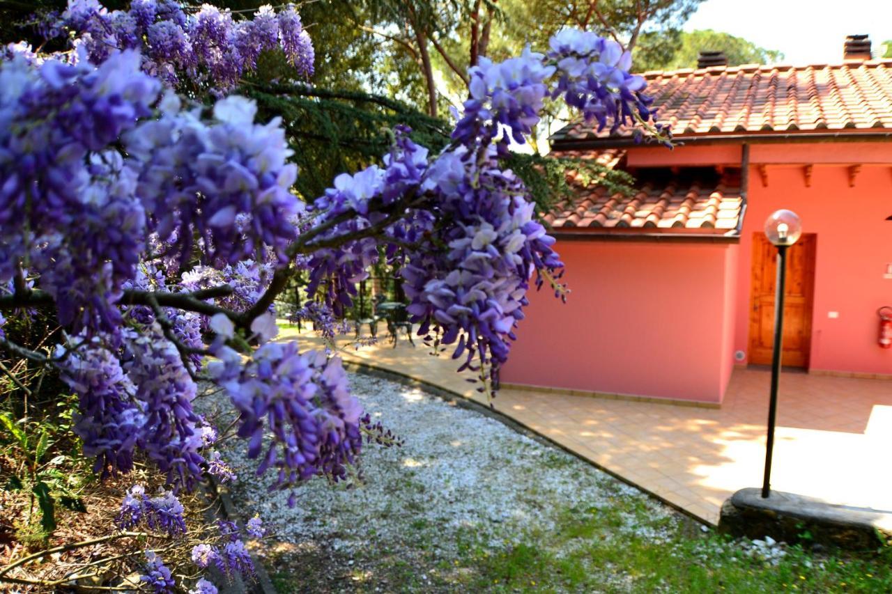 Agriturismo Poggio Al Pino Montelupo Fiorentino Luaran gambar